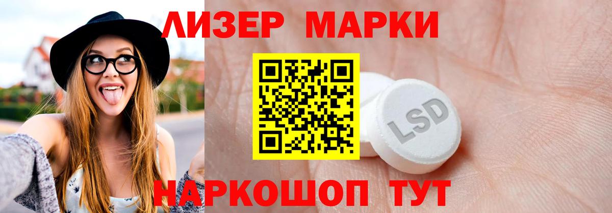 A PVP Кузнецк