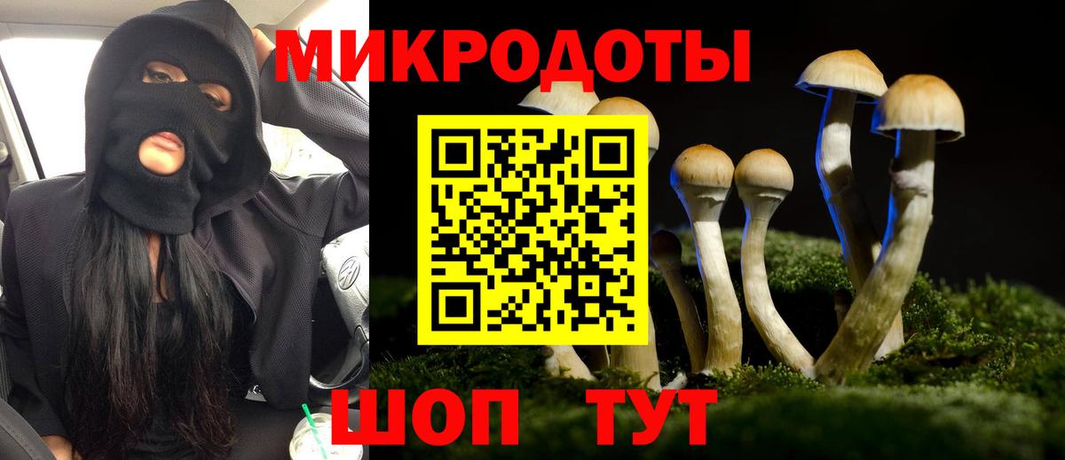 Кузнецк  что такое   Вход с VPN  Галлюциногенные грибы прущие грибы 